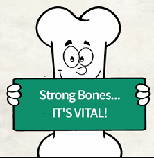 Osteoporosis /Bone Health